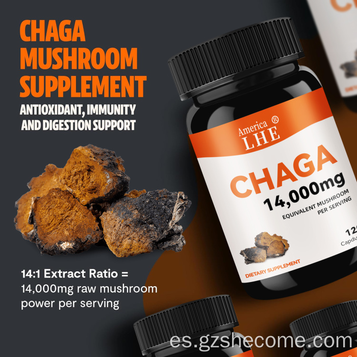 Cápsulas de champiñones Chaga Cápsulas de apoyo a la salud